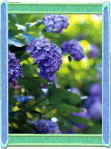 �R�����g_�������荘�Ɍ��ʂĂ��߂�I